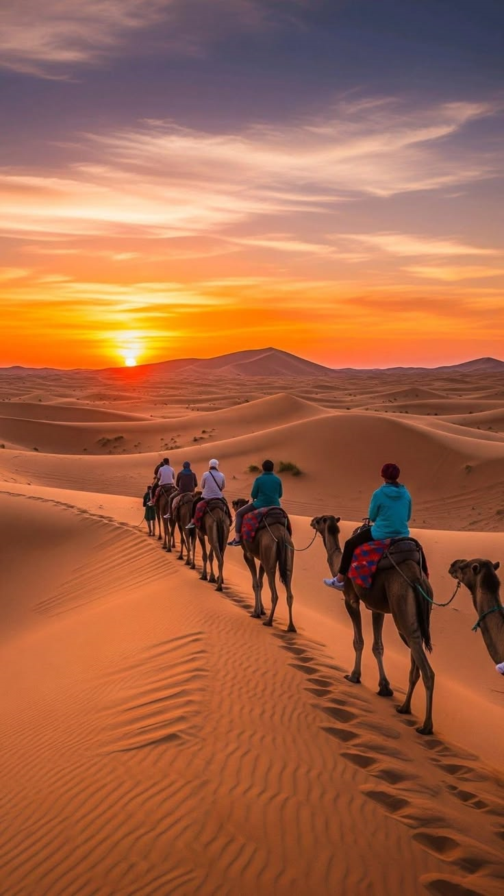 Desert sunset